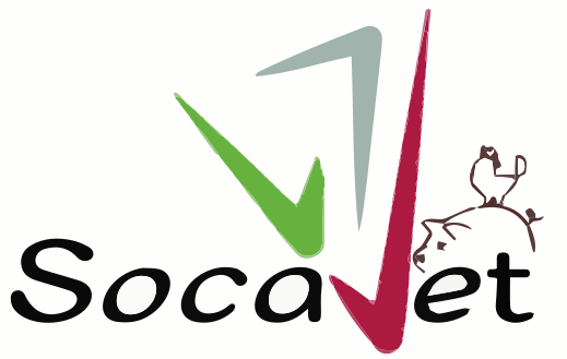 SOCAVET